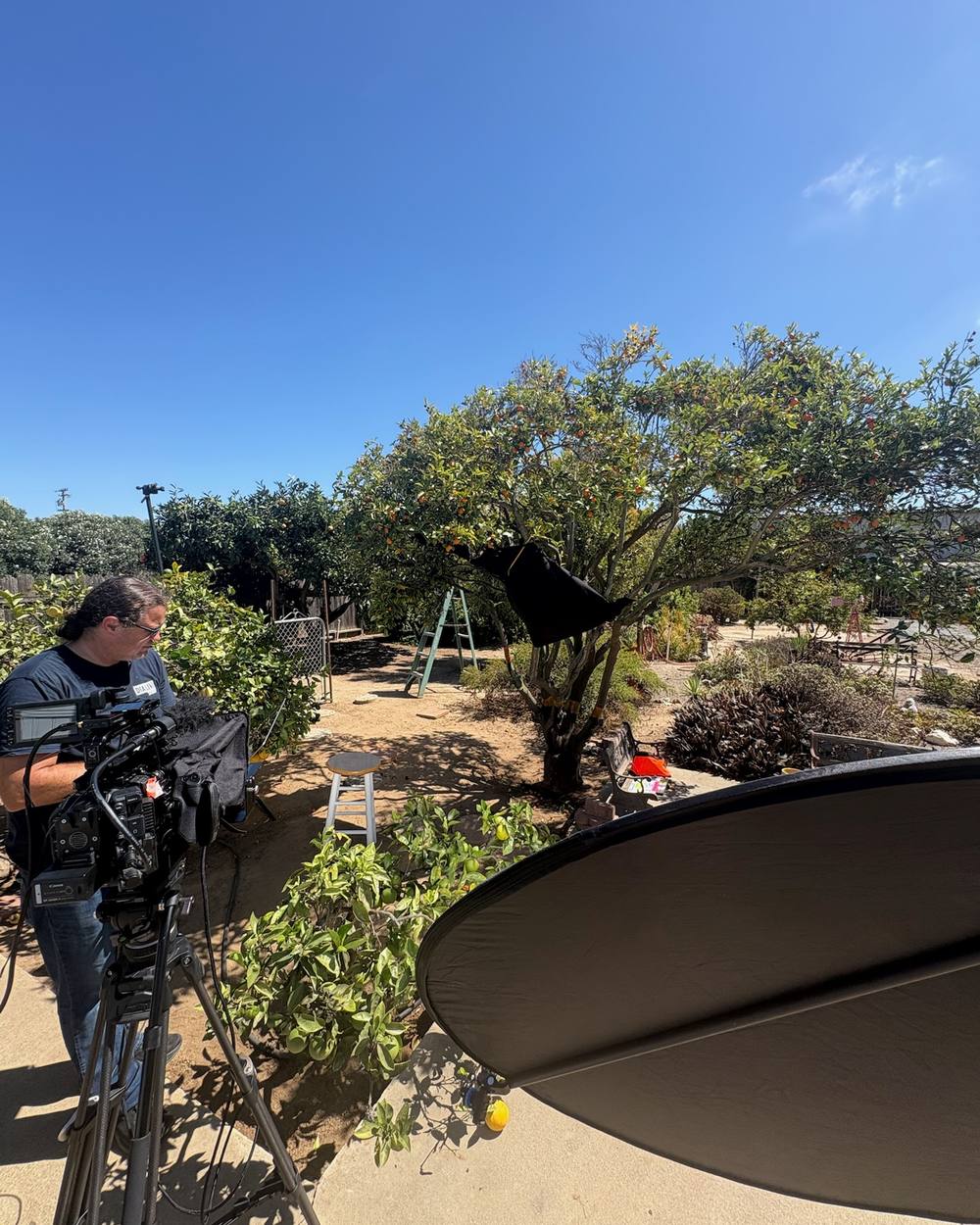 Camera operator filming in a backyard orchard